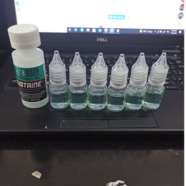 LỌ CHIẾT 10ML TÊ XANH PHUN XĂM