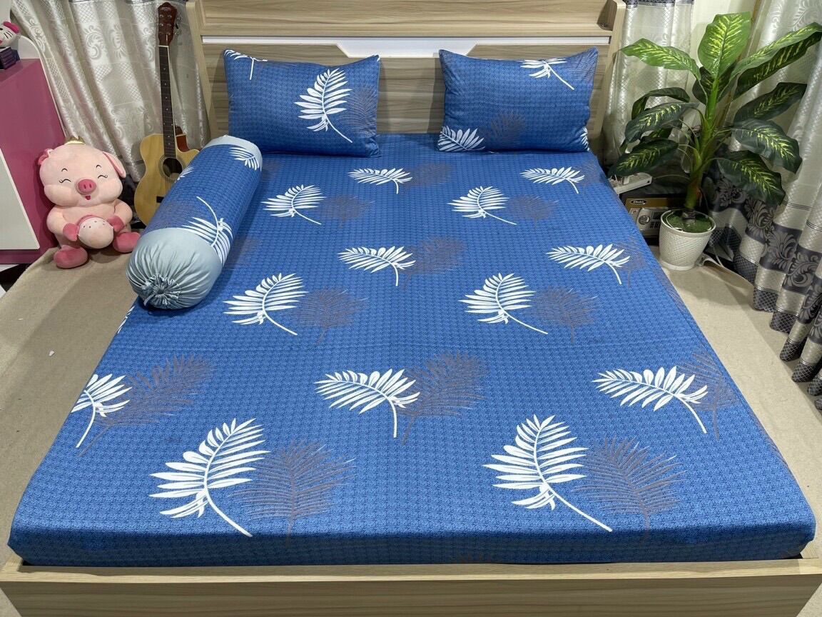 Bộ 4 món drap/ga áo gối THUN LẠNH HÀN QUỐC