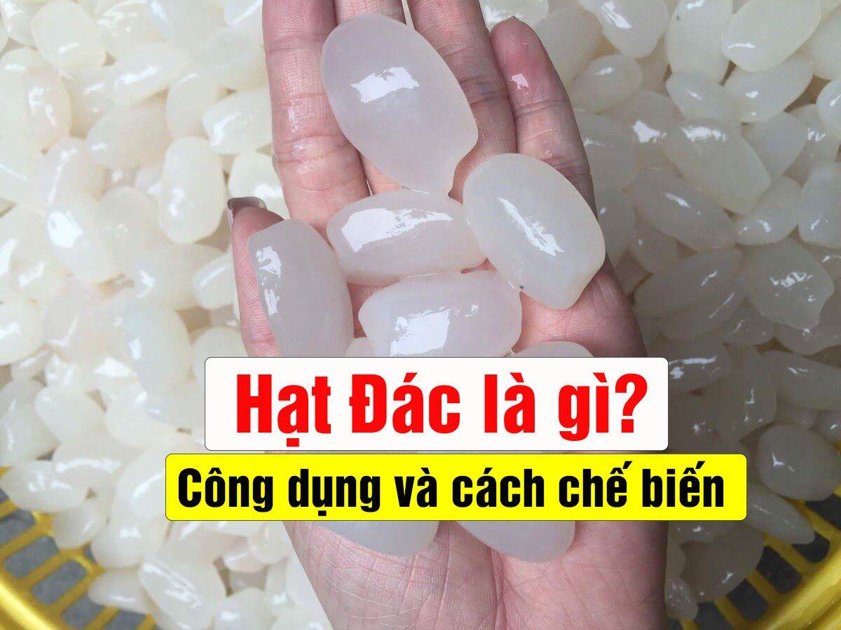[500gr dẻo mềm] Hạt đác rim sẵn nhiều vị