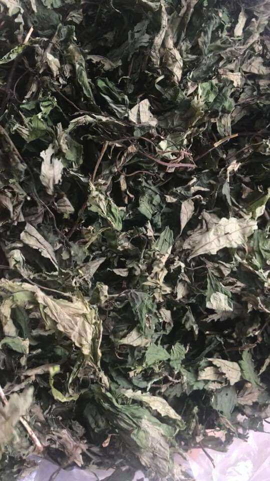 500GR CƠM KÌA (LÁ ĐẮNG