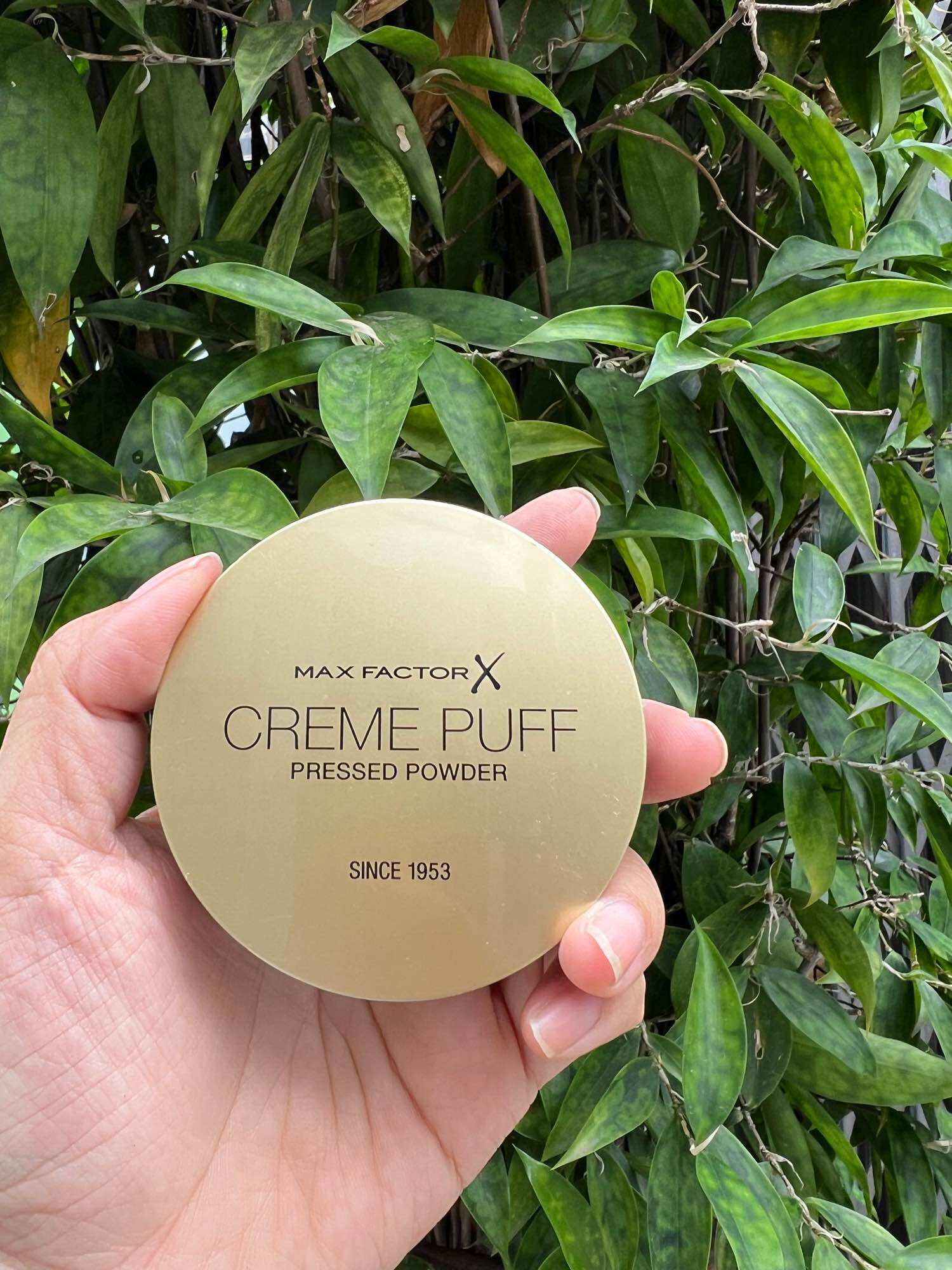 [Bill Mỹ] Phấn phủ Phấn dạng nén Max Factor Creme Puff số 81 Truly Fair