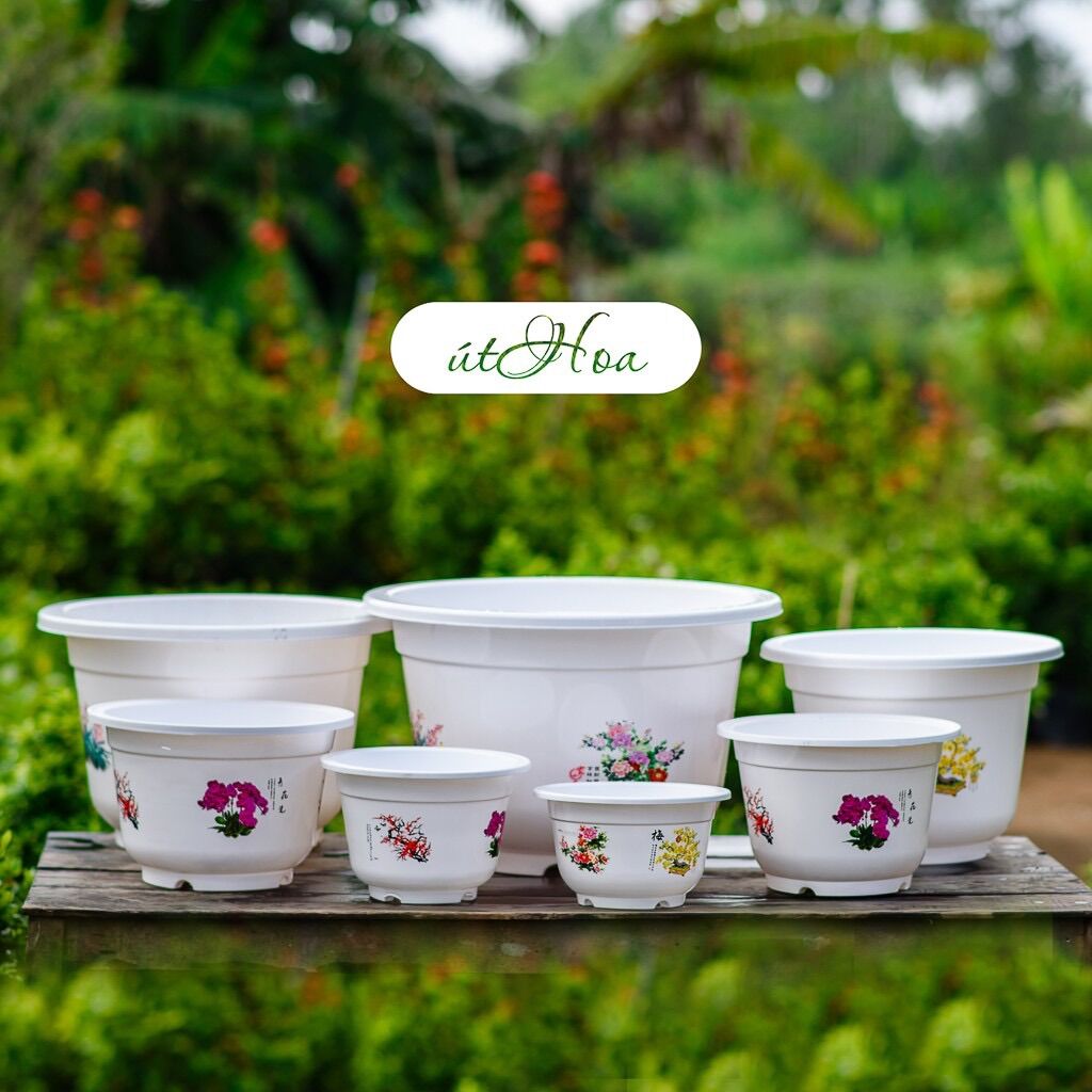 Chậu Bốn Mùa In Hoa (Size Nhỏ Và Vừa)