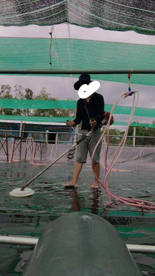 Đĩa tròn lắp máy cắt cỏ vệ sinh