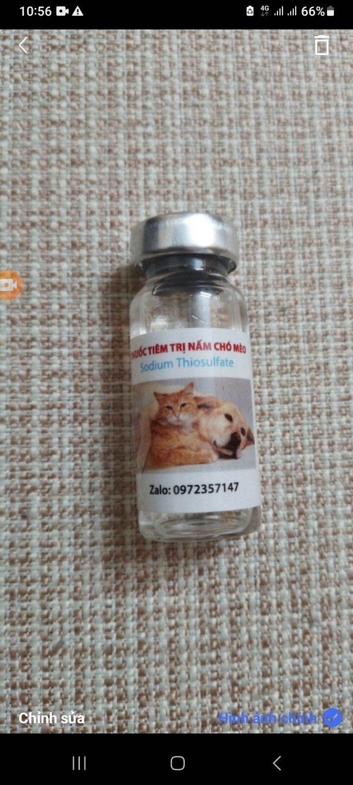 T.iê.m T.rị Nấm Cho Chó Mèo 10ml (3  Phát Khỏi)
