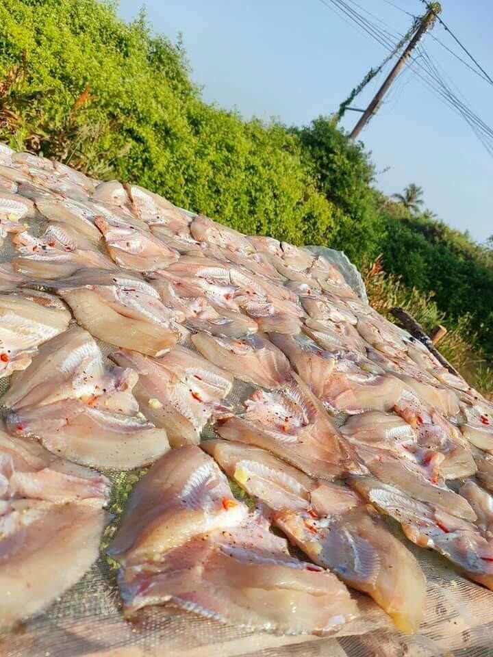 Khô cá phi lóc xương