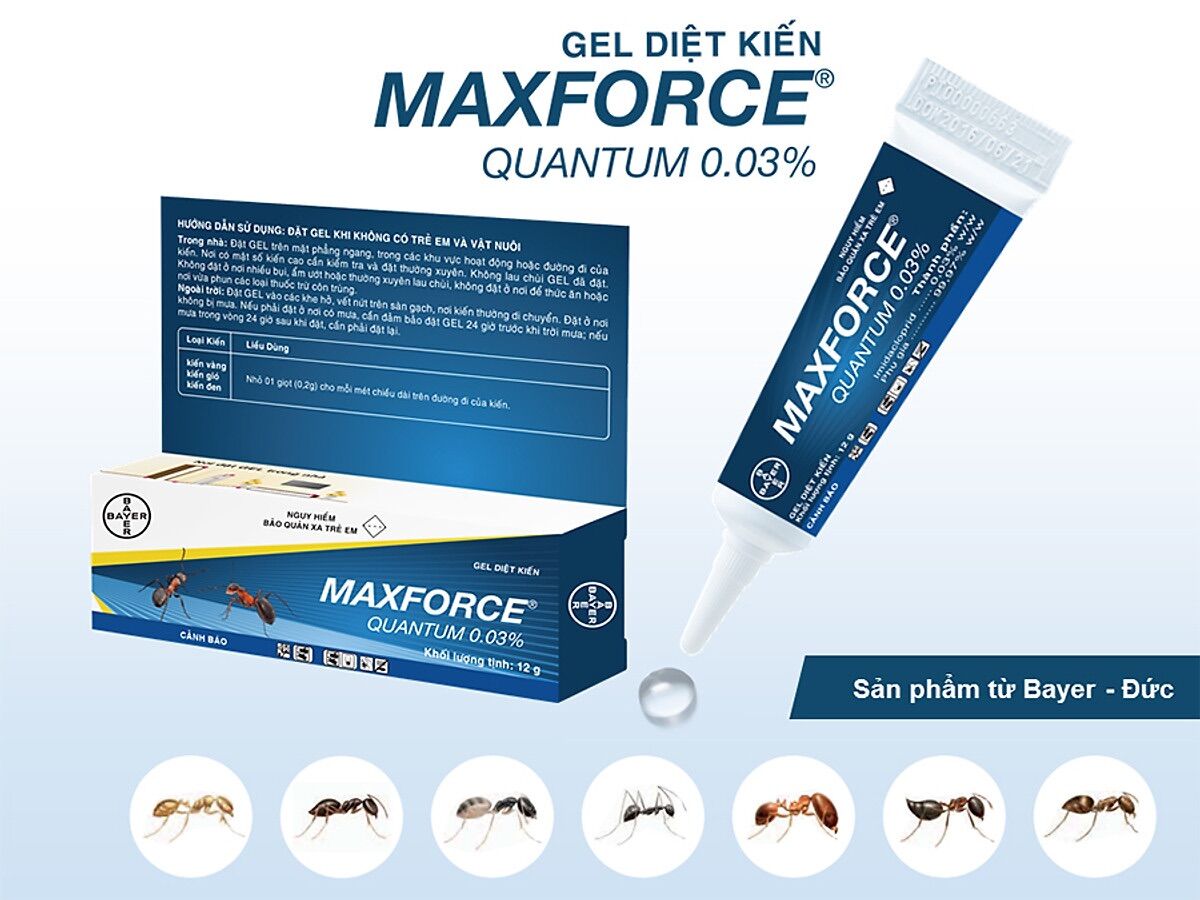 Thuốc diệt kiến Maxforce Quantum Tuýp 12g - Sp của Bayer Pháp