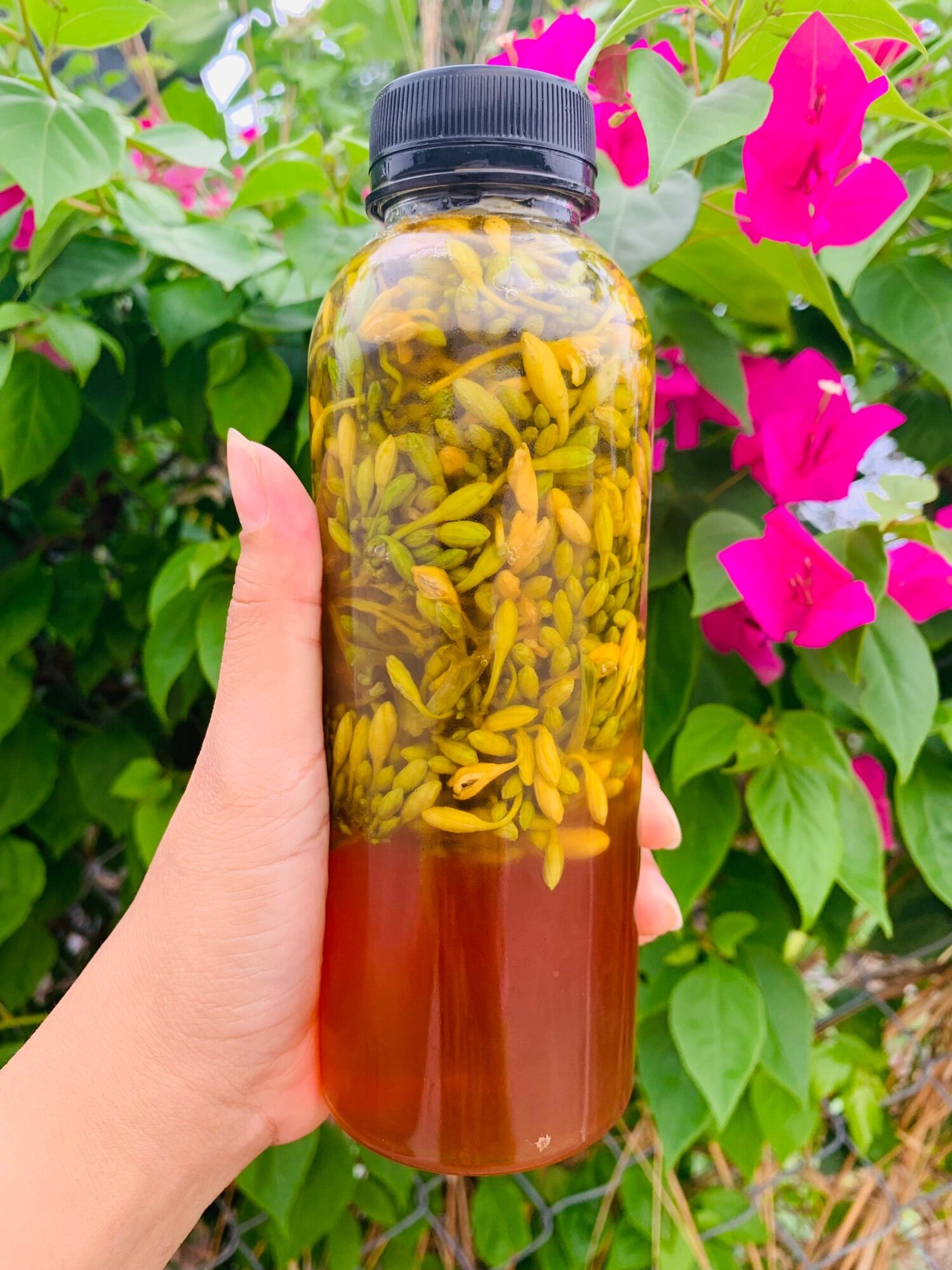 Hoa đu đủ đực tươi ngâm mật ong 500ml.
