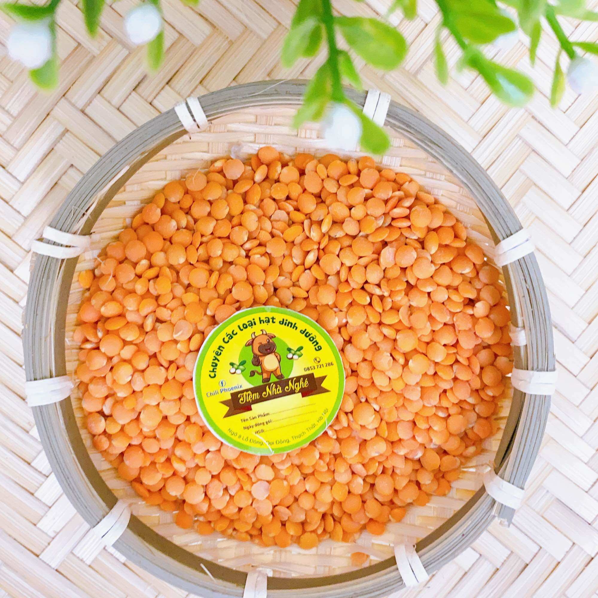 Đậu lăng đỏ hữu cơ nhập khẩu làm sữa hạt, nấu súp