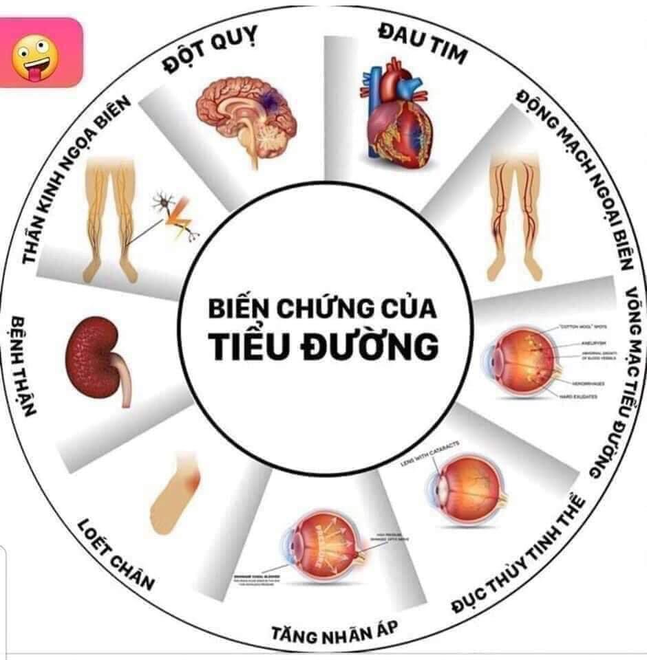 Tinh dầu thông đỏ Hàn quốc