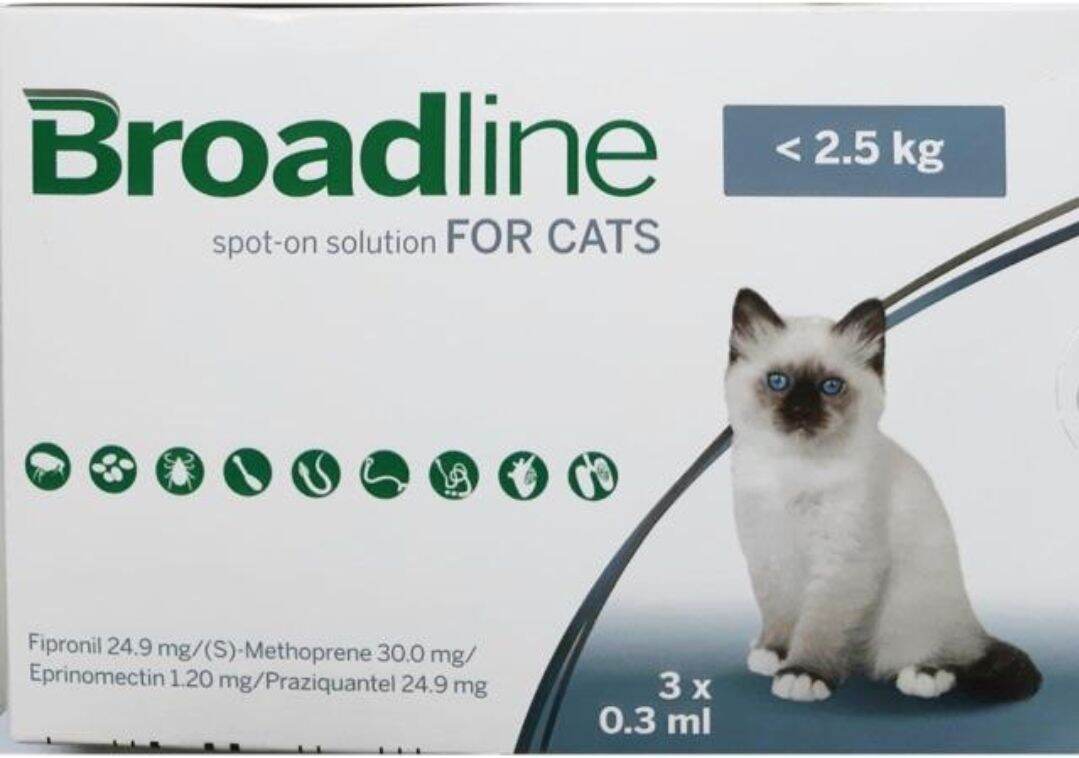 Broadline cho mèo dưới 2,5kg