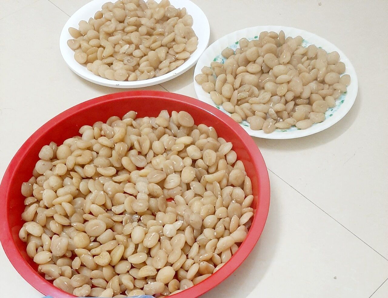HẠT SANG (HẠT SÀNH) CỦA NGƯỜI MÔNG CHỮA ĐẠI TRÀNG, DẠ DÀY