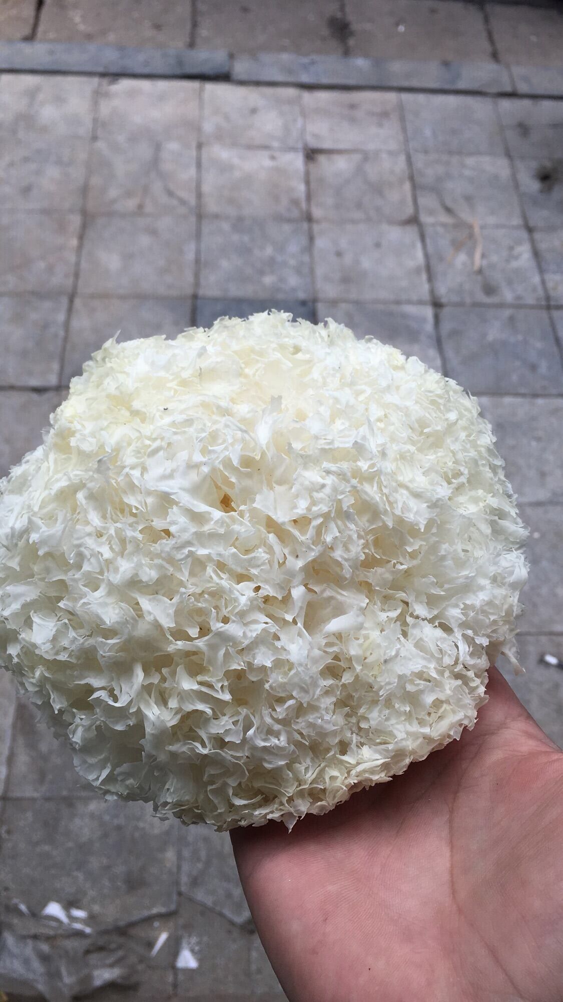 1kg Nấm tuyết nhĩ hàng trắng đẹp