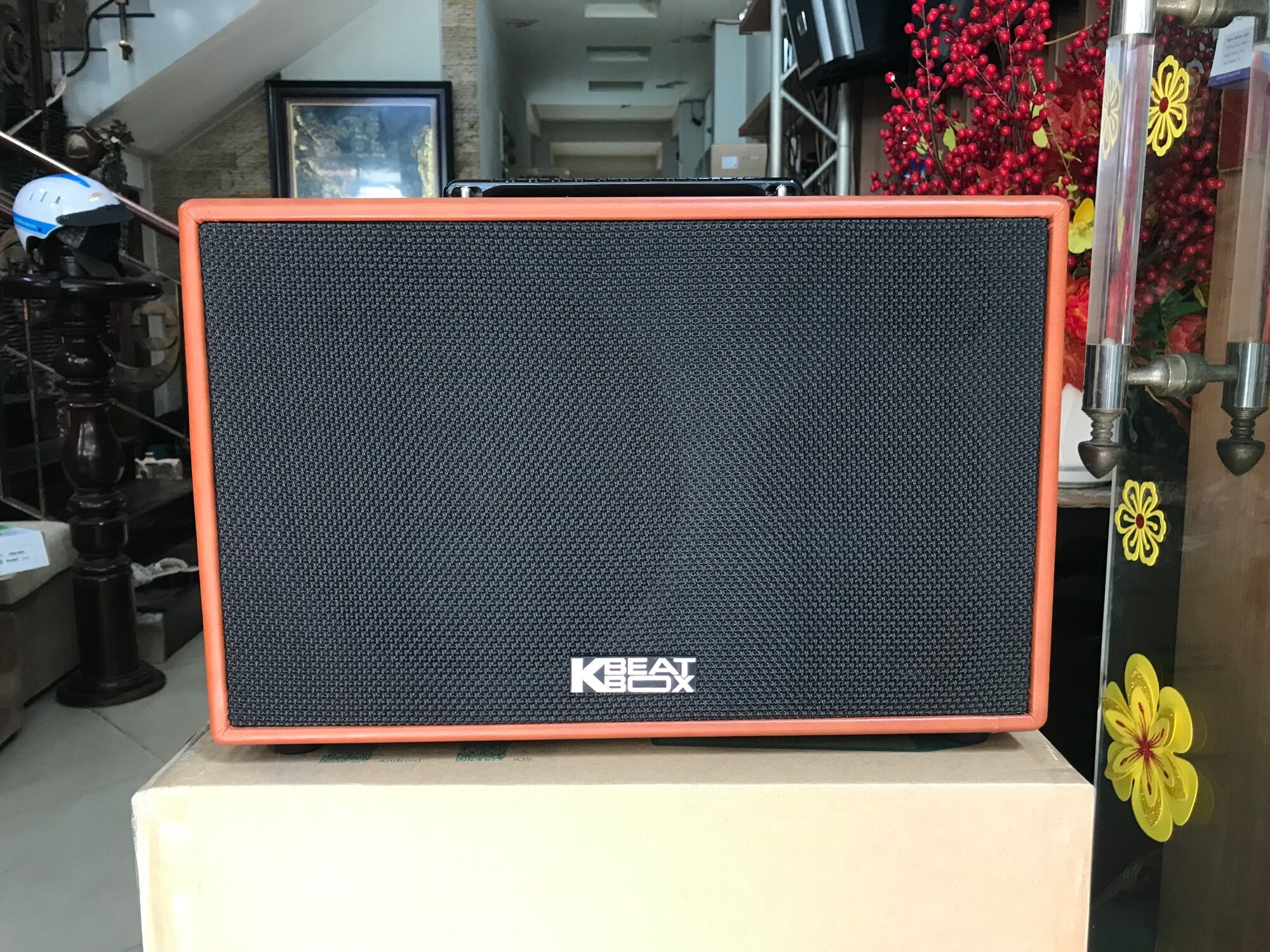 Loa di động Xách Tay Acnos CS200PU ( CS200SON)