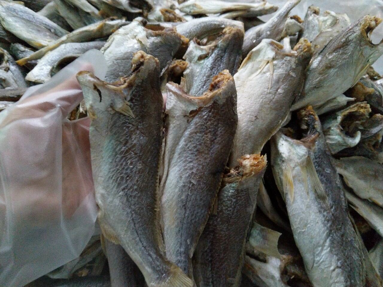 Khô cá lù đù mặn, ăn bắt cơm (Chiên, Chưng thịt..)