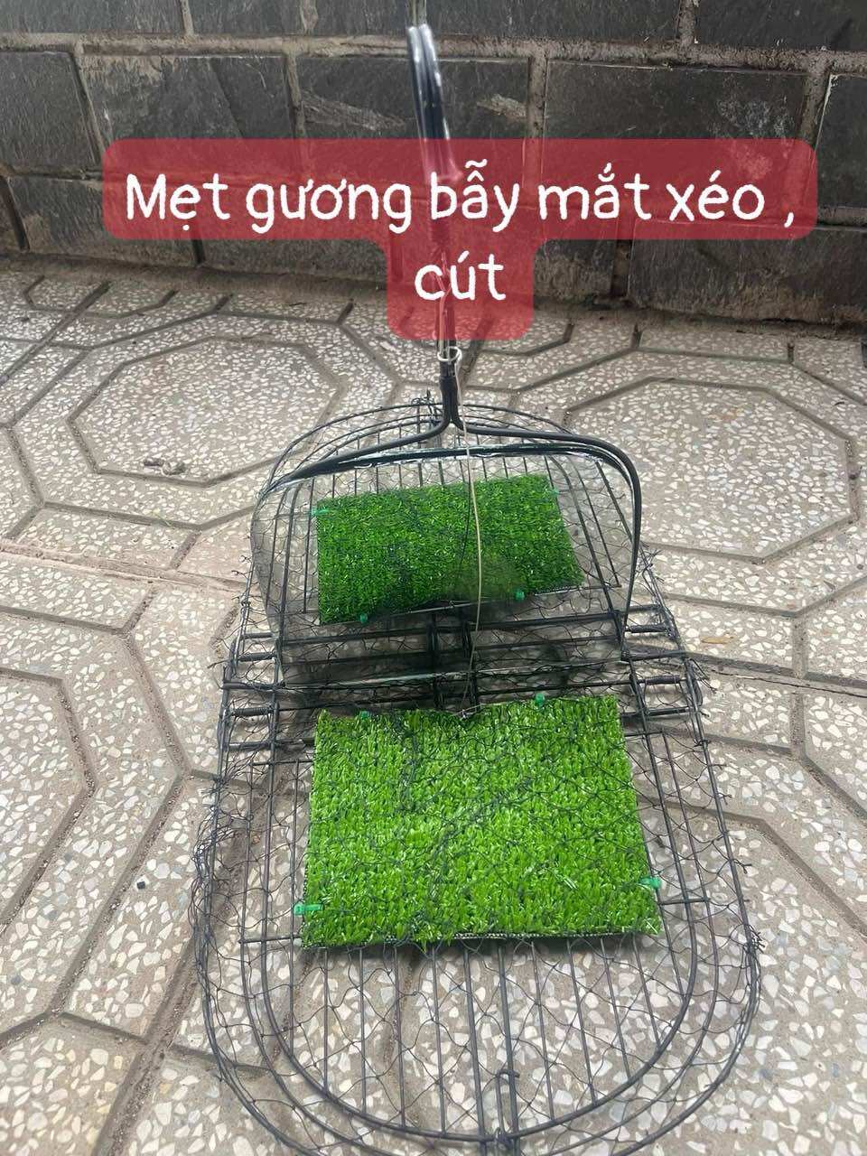 Mẹt cút có gắn gương