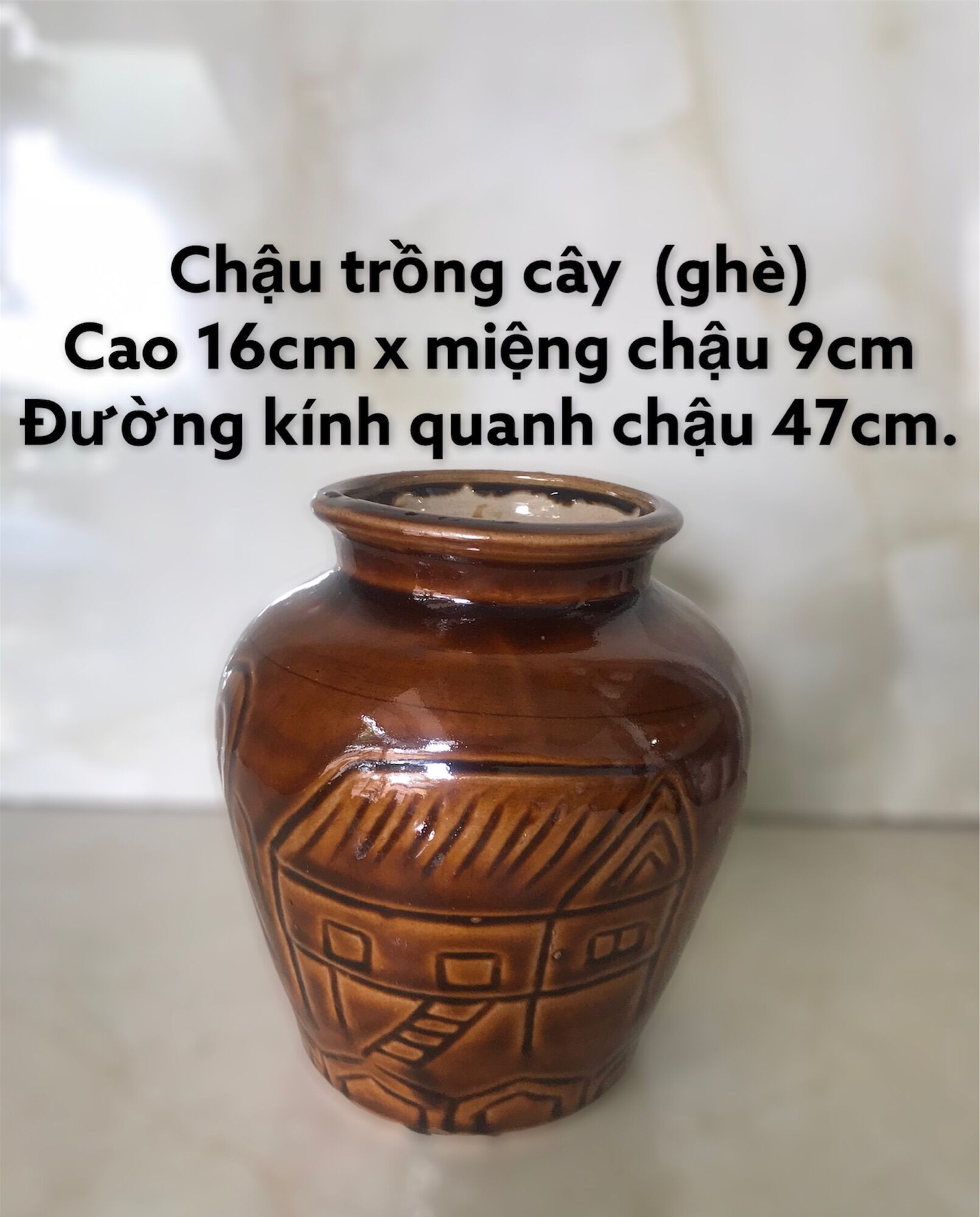 Chậu trồng cây gốm sứ, ghè trồng cây size nhỏ