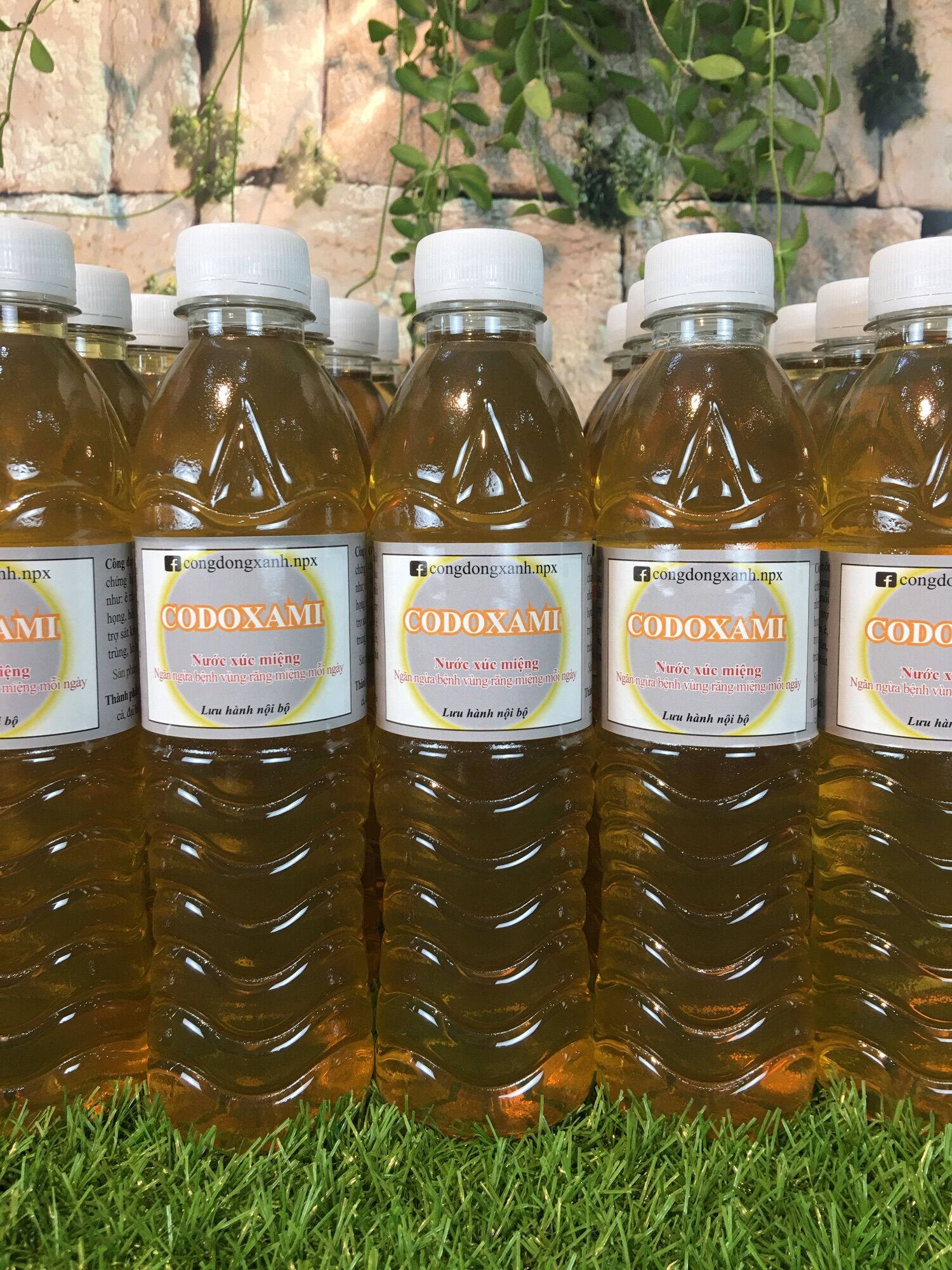 CODOXAMI [NƯỚC XÚC MIỆNG]