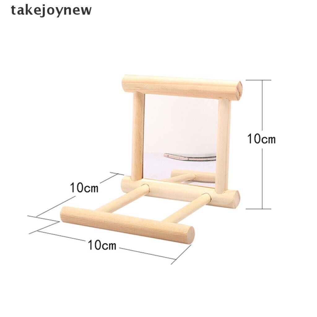 Gương treo trang trí lồng chim vẹt .