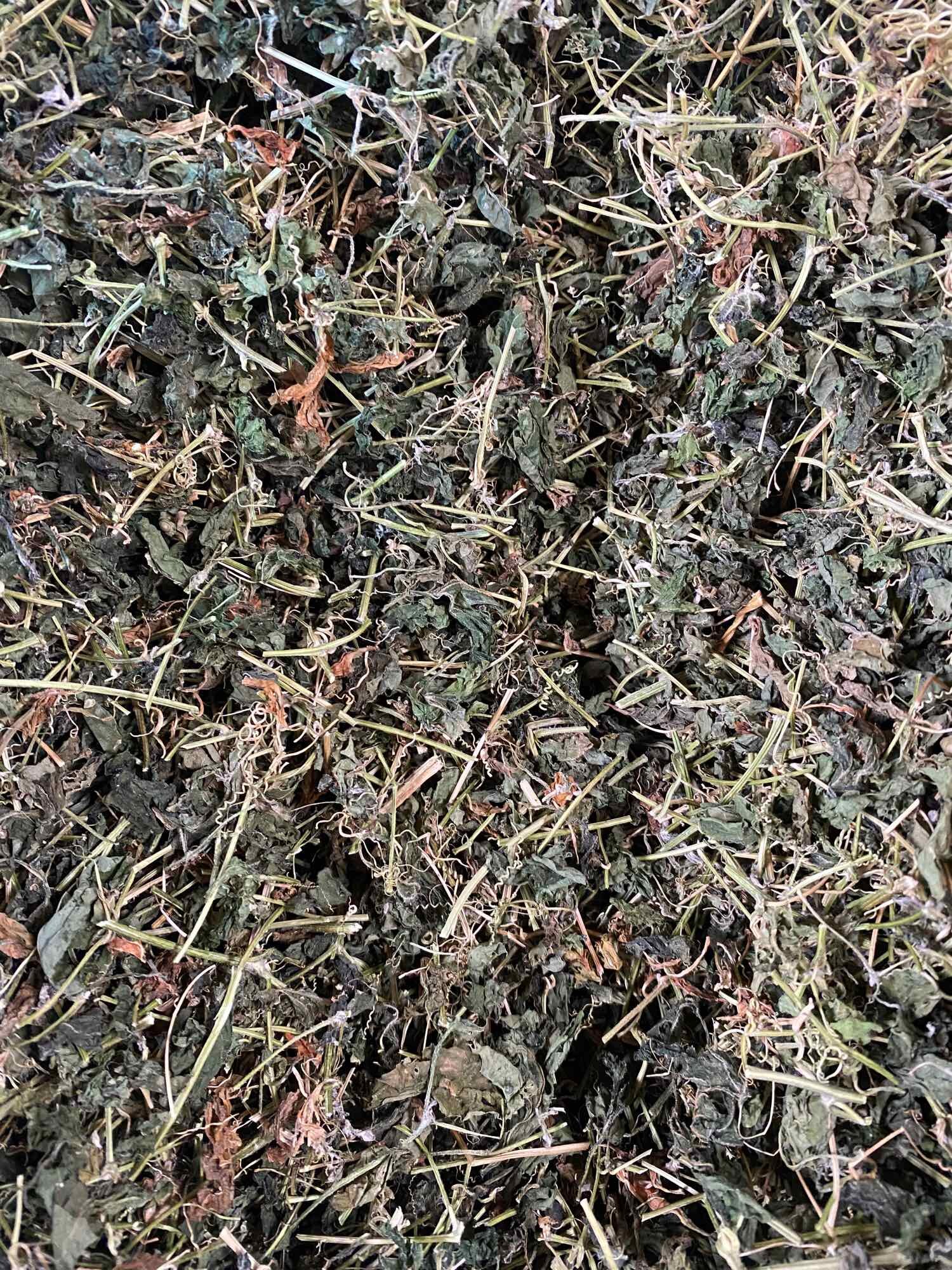 500g Trà Thảo Mộc Khổ Qua Rừng
