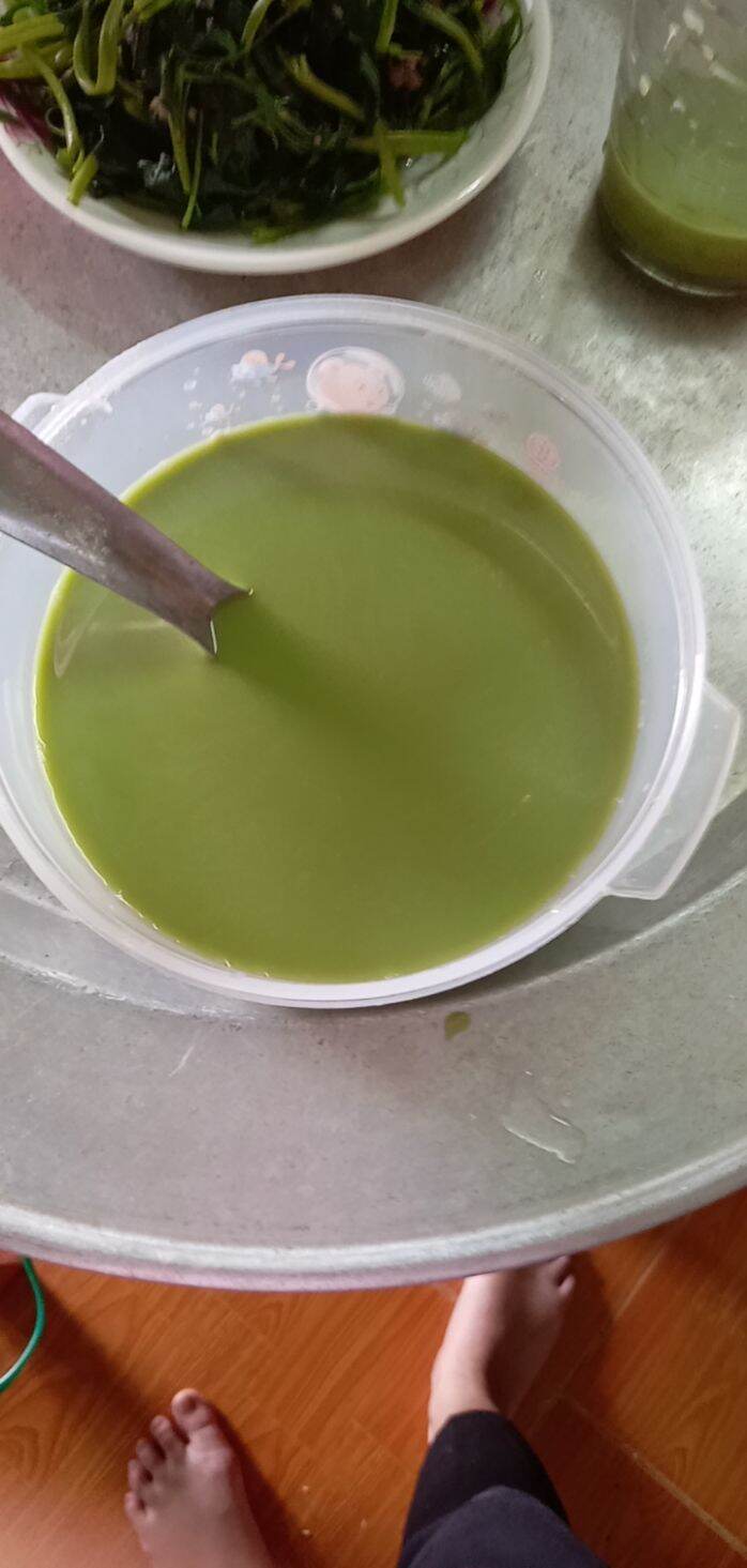 Com bo trà sữa Thái xanh (2 sét) tặng thêm 5 Ống hút