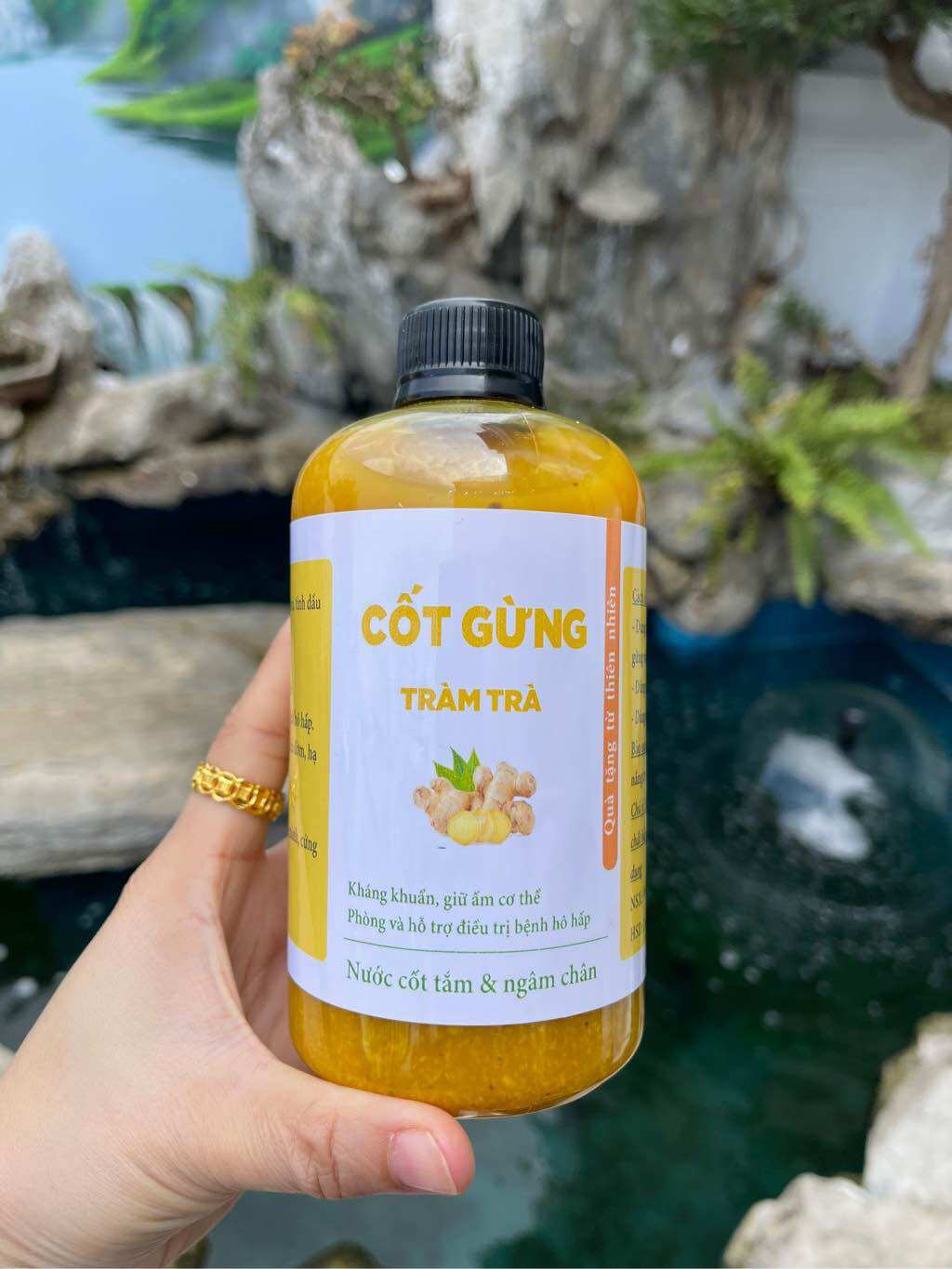 Cốt gừng tràm trà , Nước tắm thảo dược cốt gừng tràm trà phòng cảm cúm tránh gió tăng sức đề kháng - TÂY BẮC FOOD 27