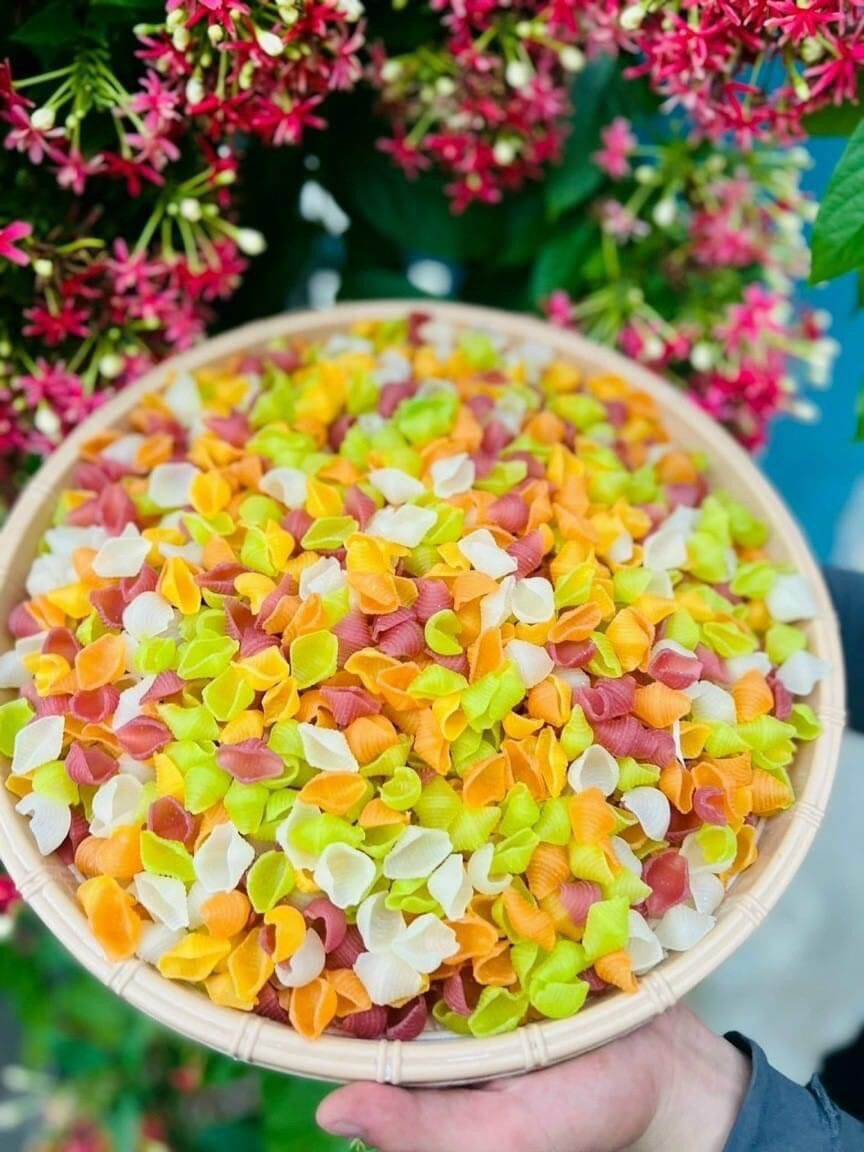 Nui gạo lức/ nui sò ngũ sắc 500gr
