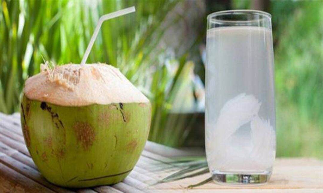 1-Trái dừa xiêm tươi Bến Tre