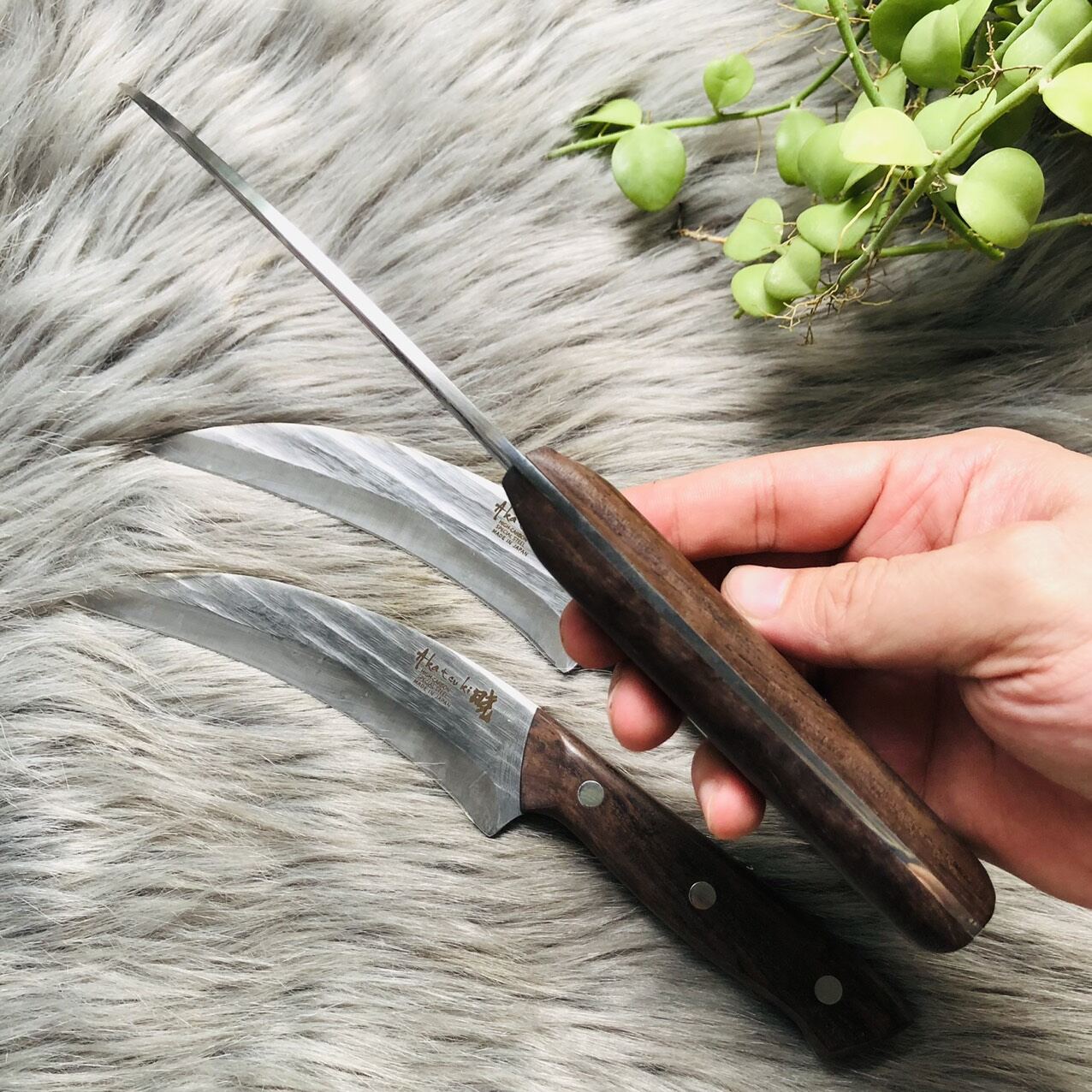 Dao khui sầu riêng, dao cắt trái cây Nhật