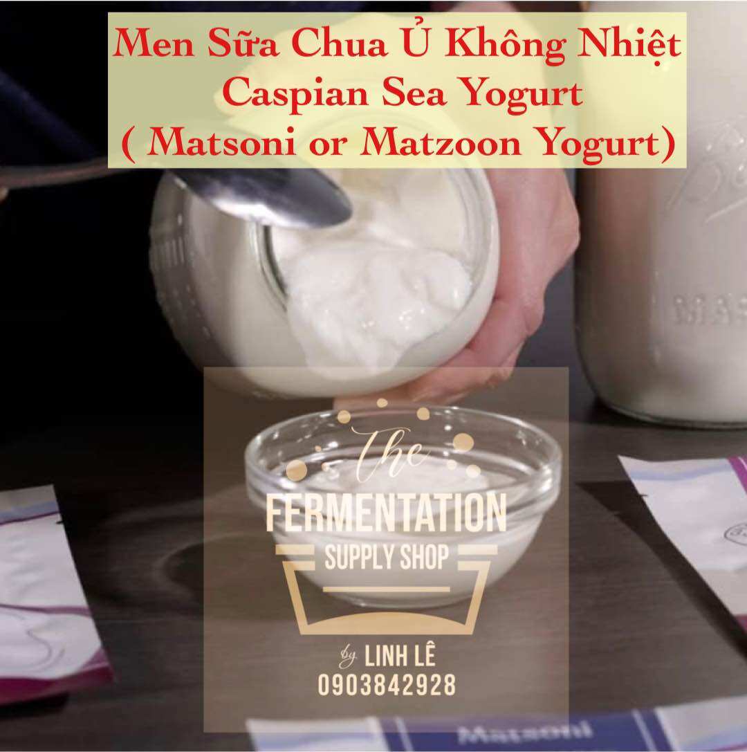 [Men sữa chua ủ ko Nhiệt dùng trọn đời] Caspian Sea Yogurt ( hay còn gọi là Matsoni hay matzoon)