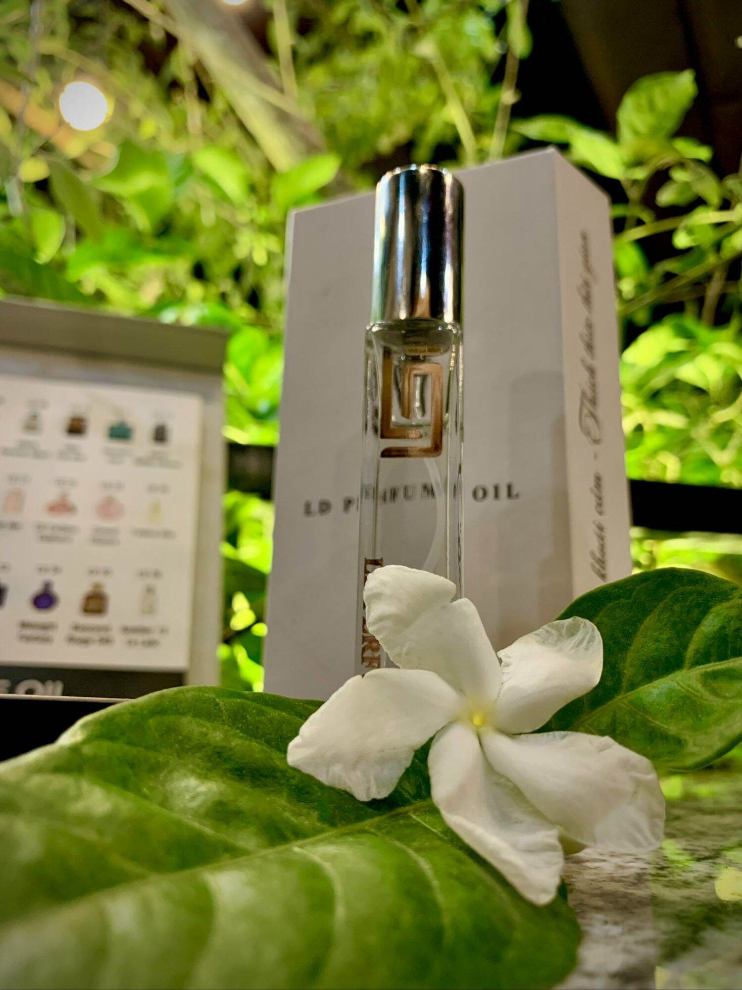 Tinh dầu nước hoa LD PERFUME OIL (Nữ)- Chanel Coco- mã 32