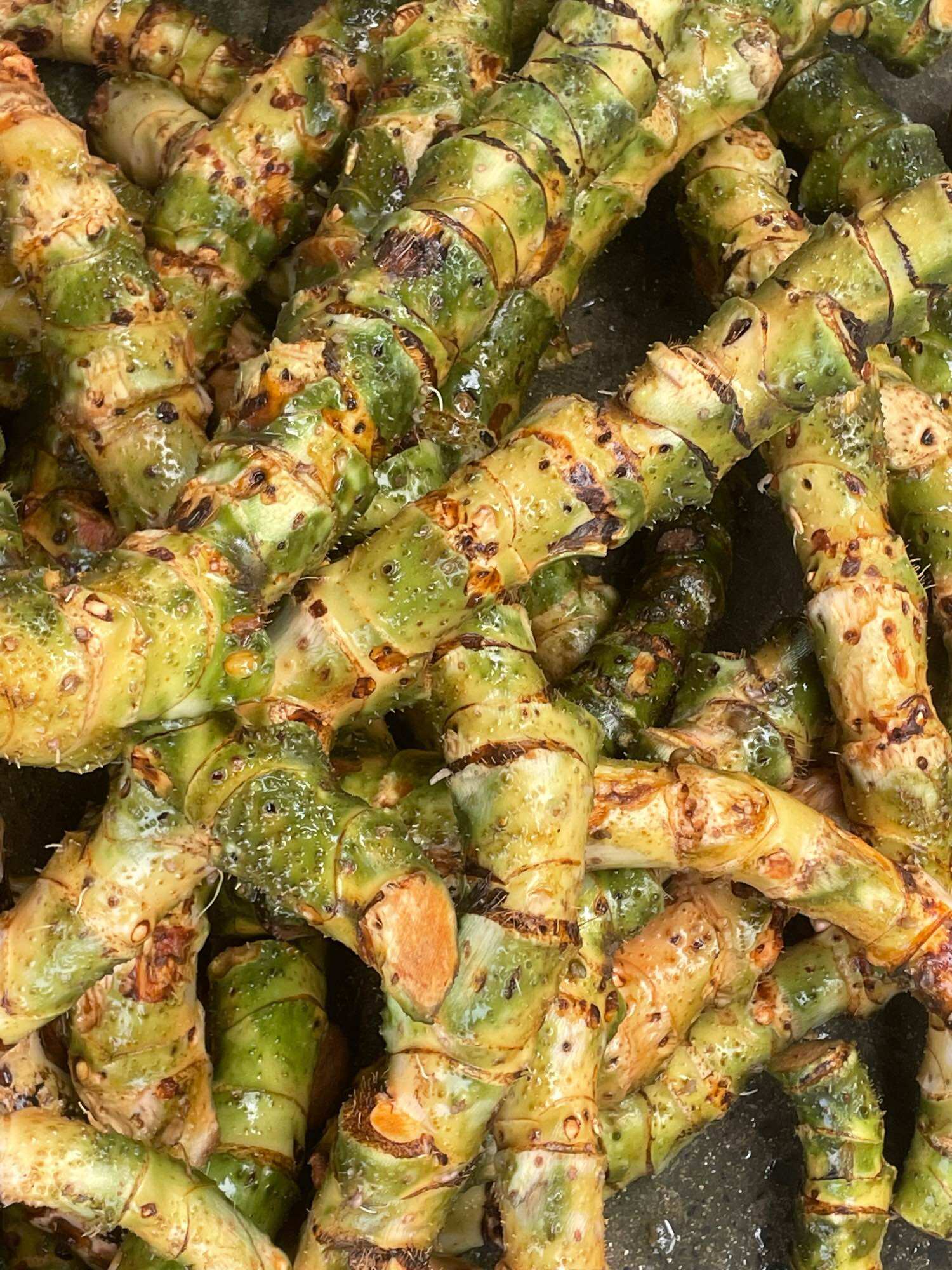 Củ móp gai tươi lâu năm túi 2kg