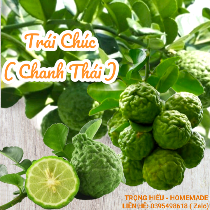 Trái Chúc ( Chanh Thái) - An Giang - Hộp 1kg