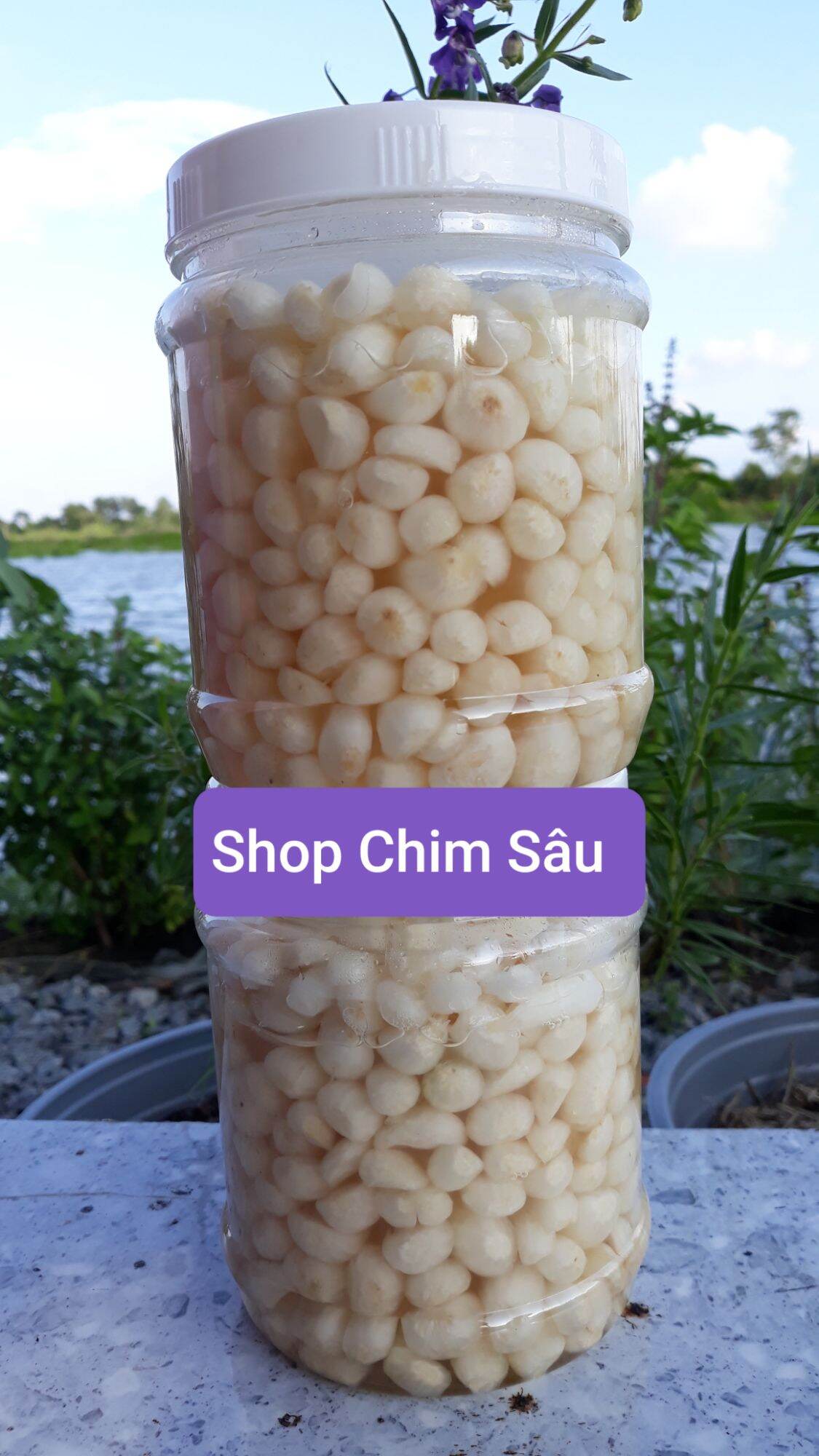 Kiệu ngâm đường 800gam