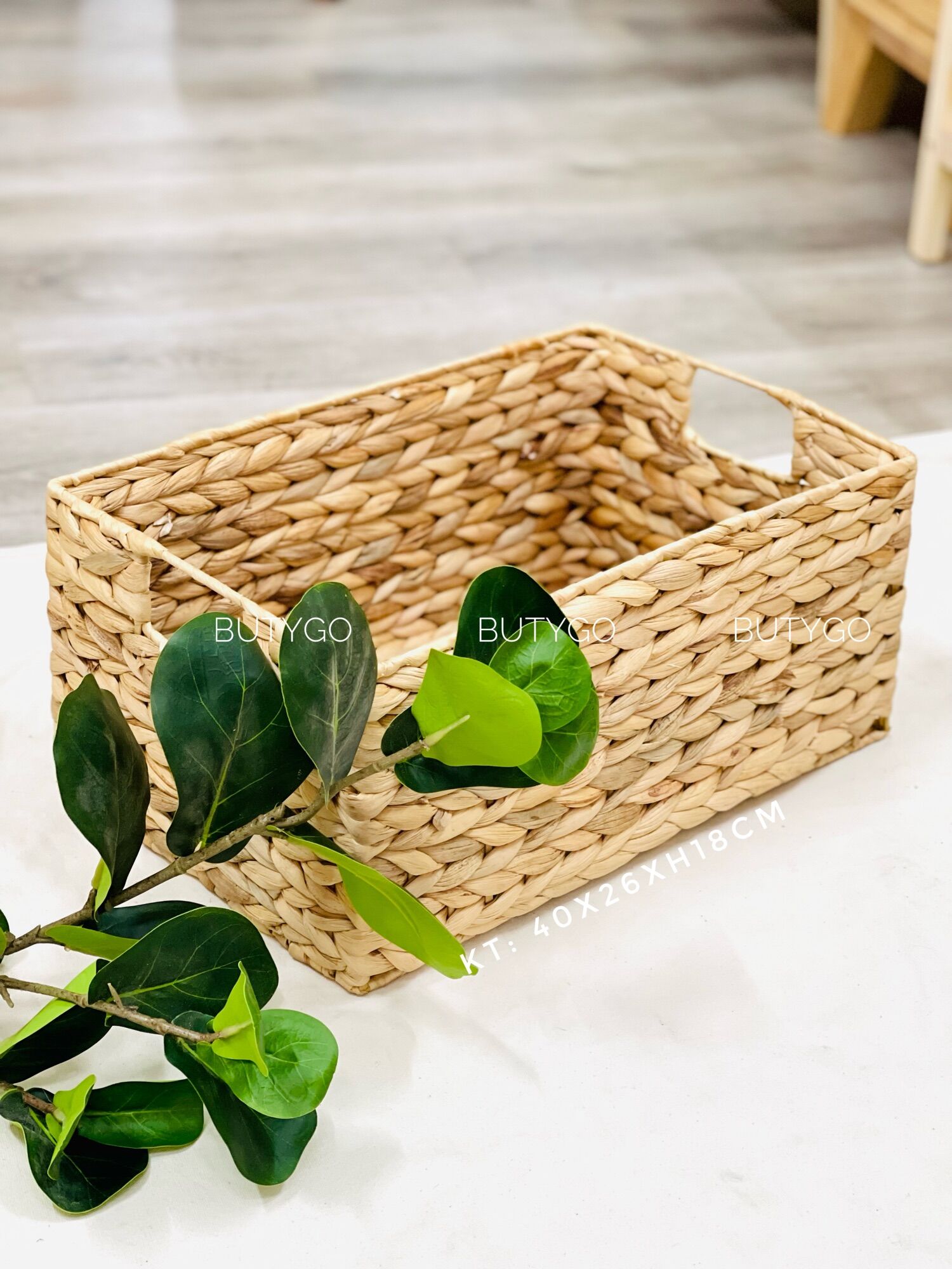 GIỎ LỤC BÌNH DECOR