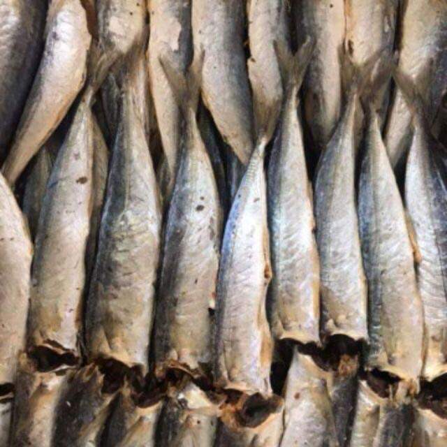 500gram cá nục ngon rẻ