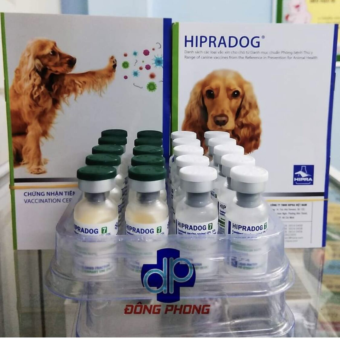 6 Liều Ngừa chó 7 bệnh hàng chính hãng tặng kim tiêm và ống chít.