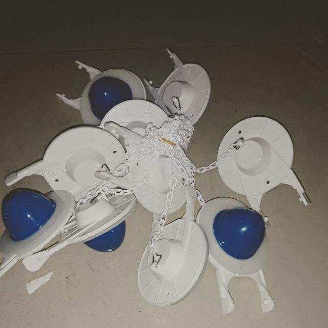 Cóc két nước bồn cầu - Cóc chắn nước