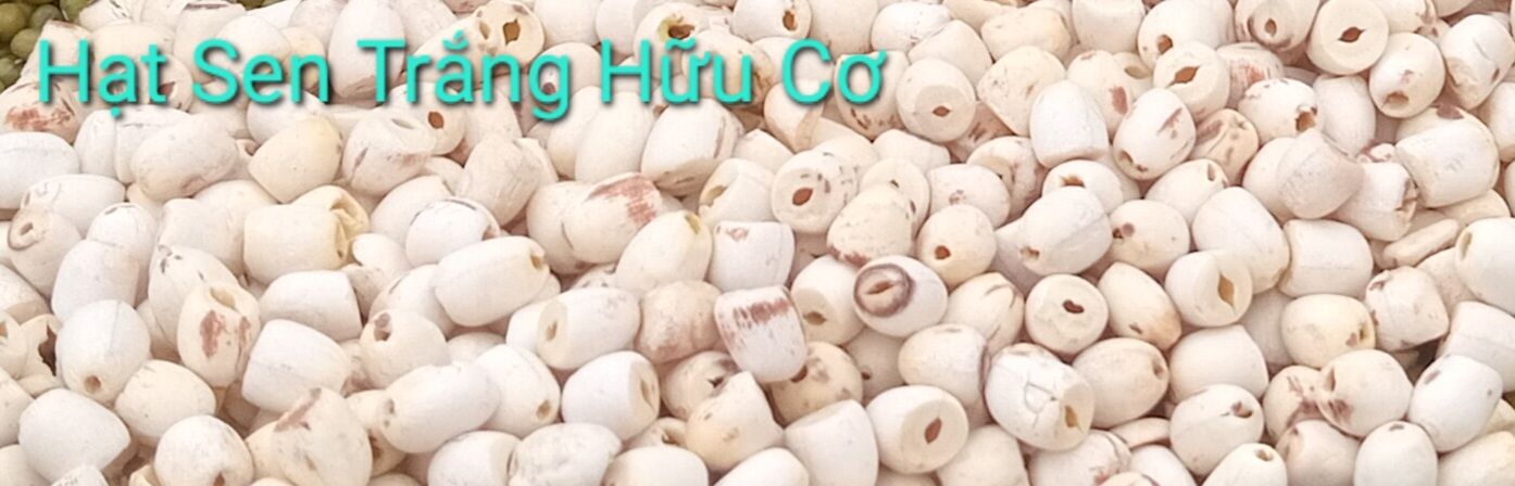 SEN TRẮNG THÁP MƯỜI-HẠT SEN KHÔ ORGANIC