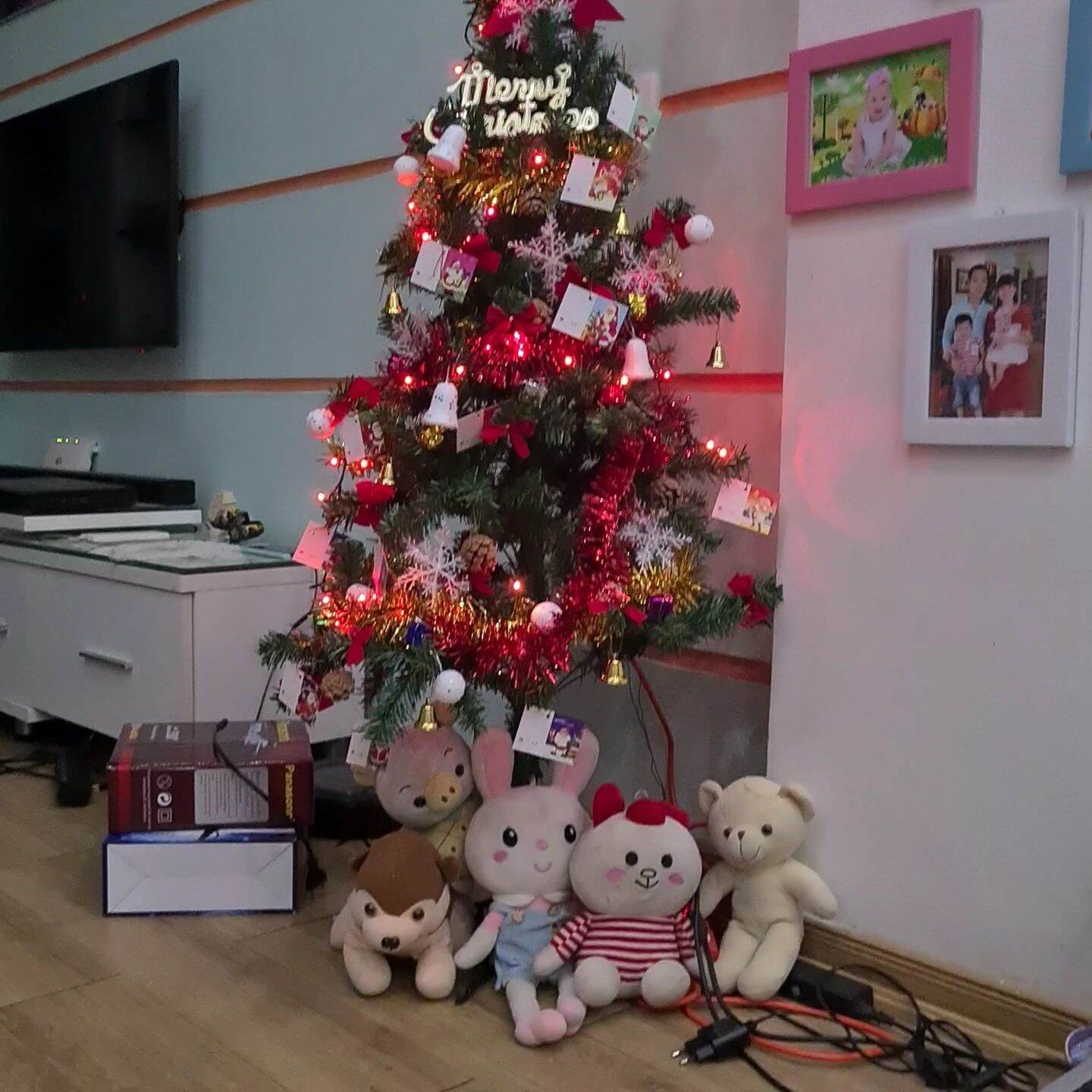 Cây thông Noel 1m5 đủ phụ kiện 🎄 Mang đến mùa Noel 2021 ấm áp vui vẻ và hạnh phúc