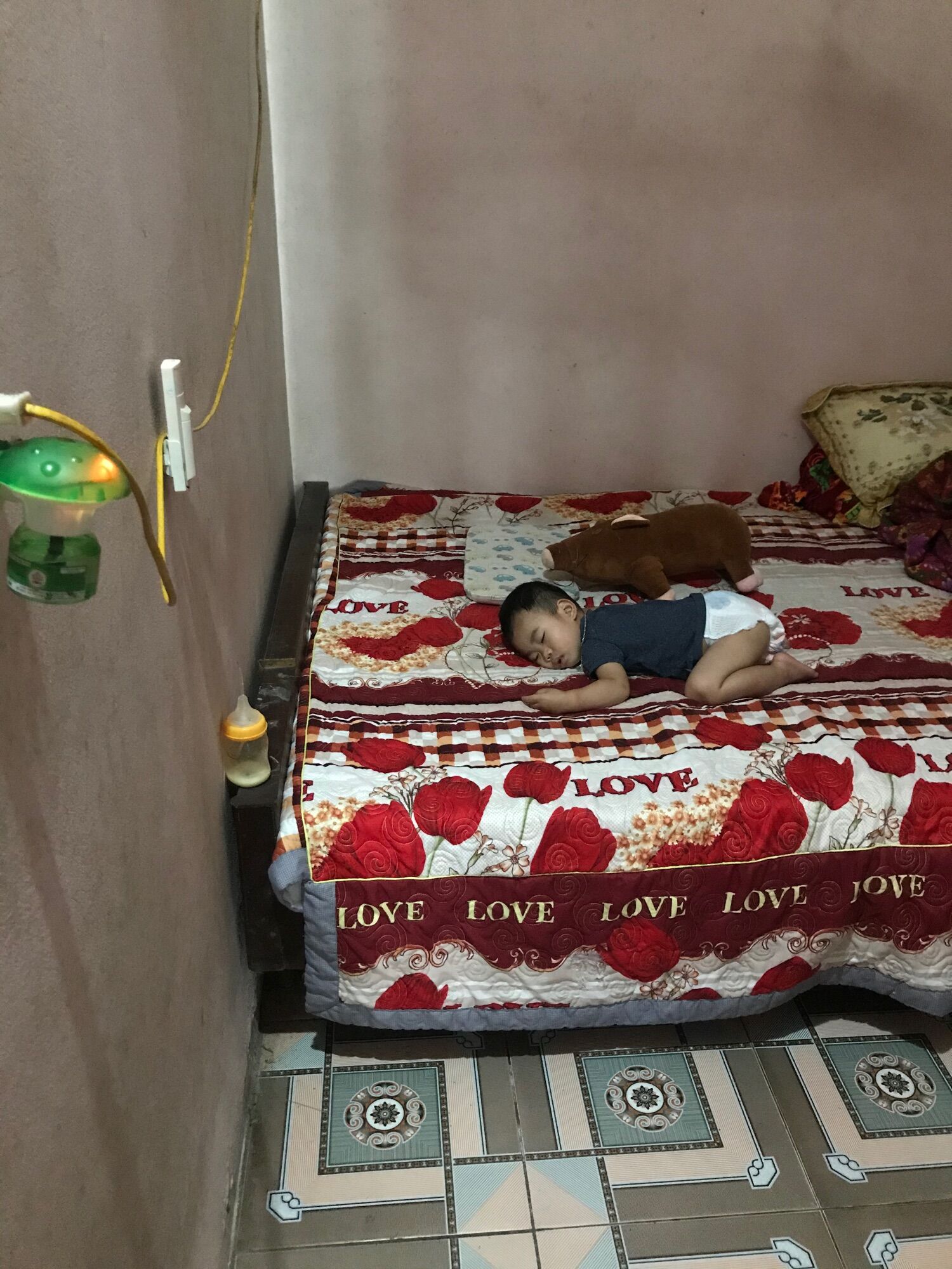 Đèn đuổi muỗi +2 lọ tinh dầu.