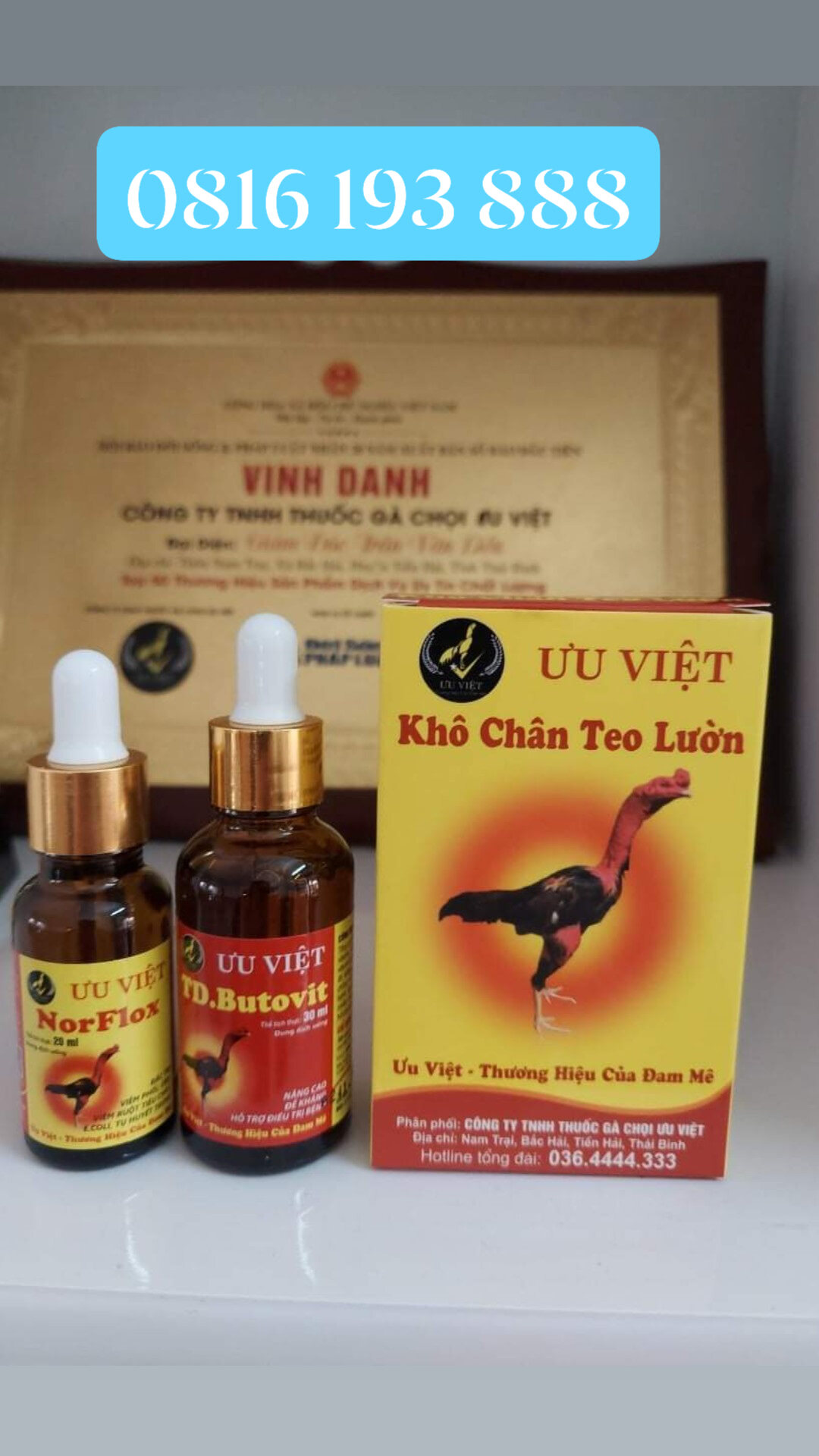 Khô chân teo lườn ưu việt cho gà đá gà chọi