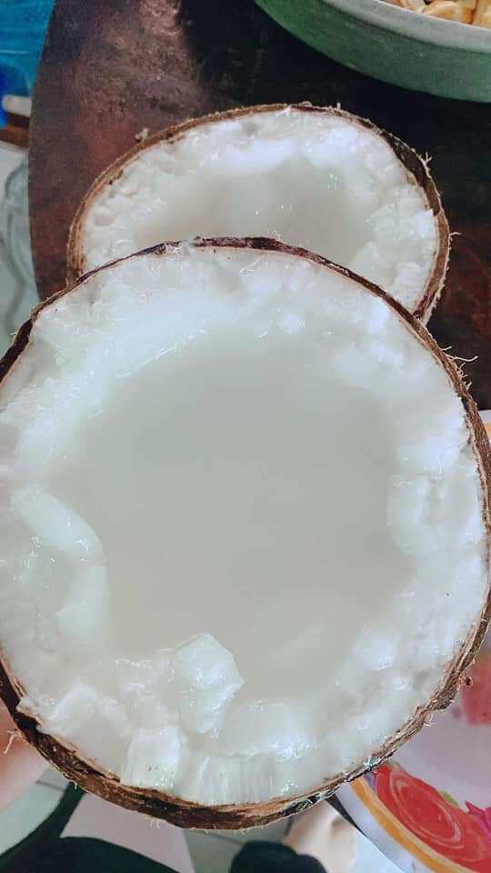 Dừa Sáp Loại 1 Đặc Ruột