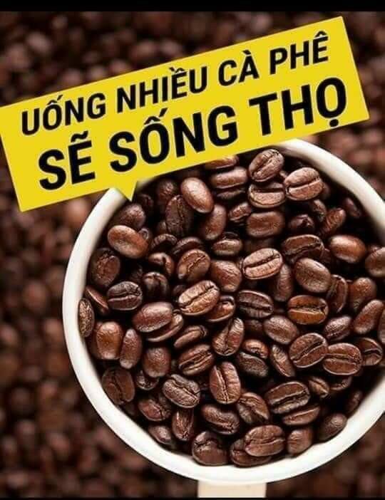 1 kg cà phê hạt  nguyên chất đã rang say