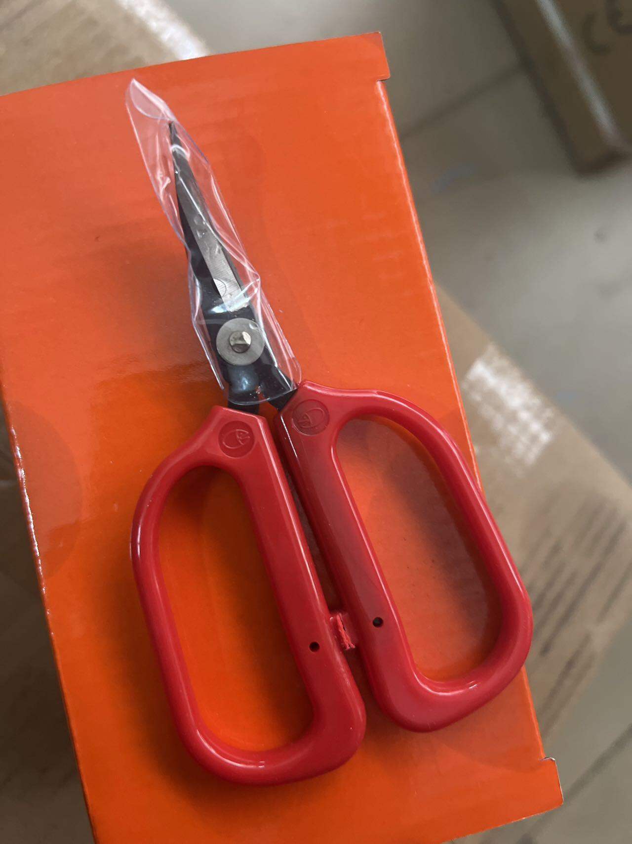 Kéo cong đỏ nhỏ hiệu con cá kéo gọt giày