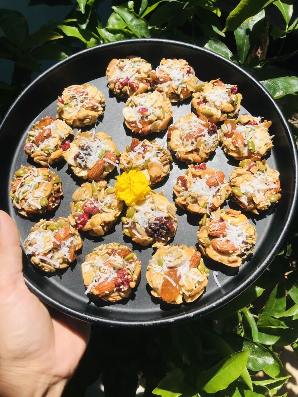 (250gr) BÁNH HẠT DINH DƯỠNG HEALTHY, MÓN ĂN VẶT LÀNH MẠNH, CỰC KỲ LẠ MIỆNG, THƠM NGON VÀ TỐT CHO SỨC KHOẺ ( HẠNH NHÂN LÁT, HẠNH NHÂN NGUYÊN HẠT, ÓC CHÓ ĐỎ, HẠT ĐIỀU, HẠT BÍ XANH, HẠT HƯỚNG DƯƠNG, MÈ, DỪA SỢI, NHO KHÔ…)