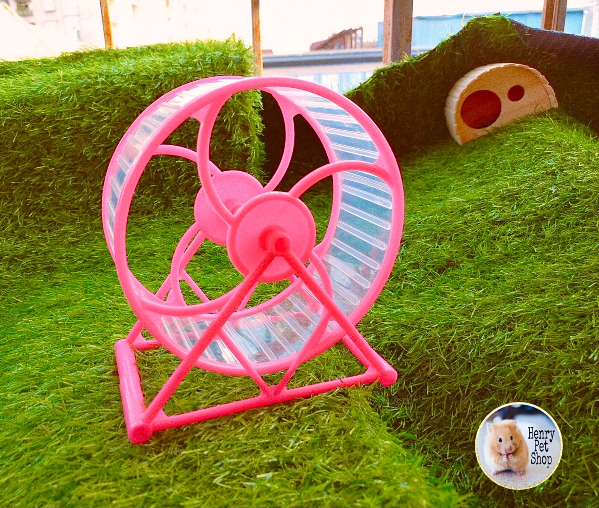 Wheel tesoro 15cm cho Hamster