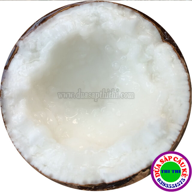 Dừa sáp thượng hạng loại 2