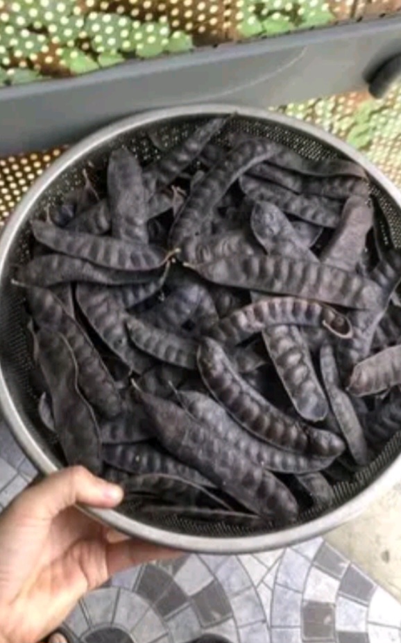 TRÁI BỒ KẾT KHÔ 100 GR