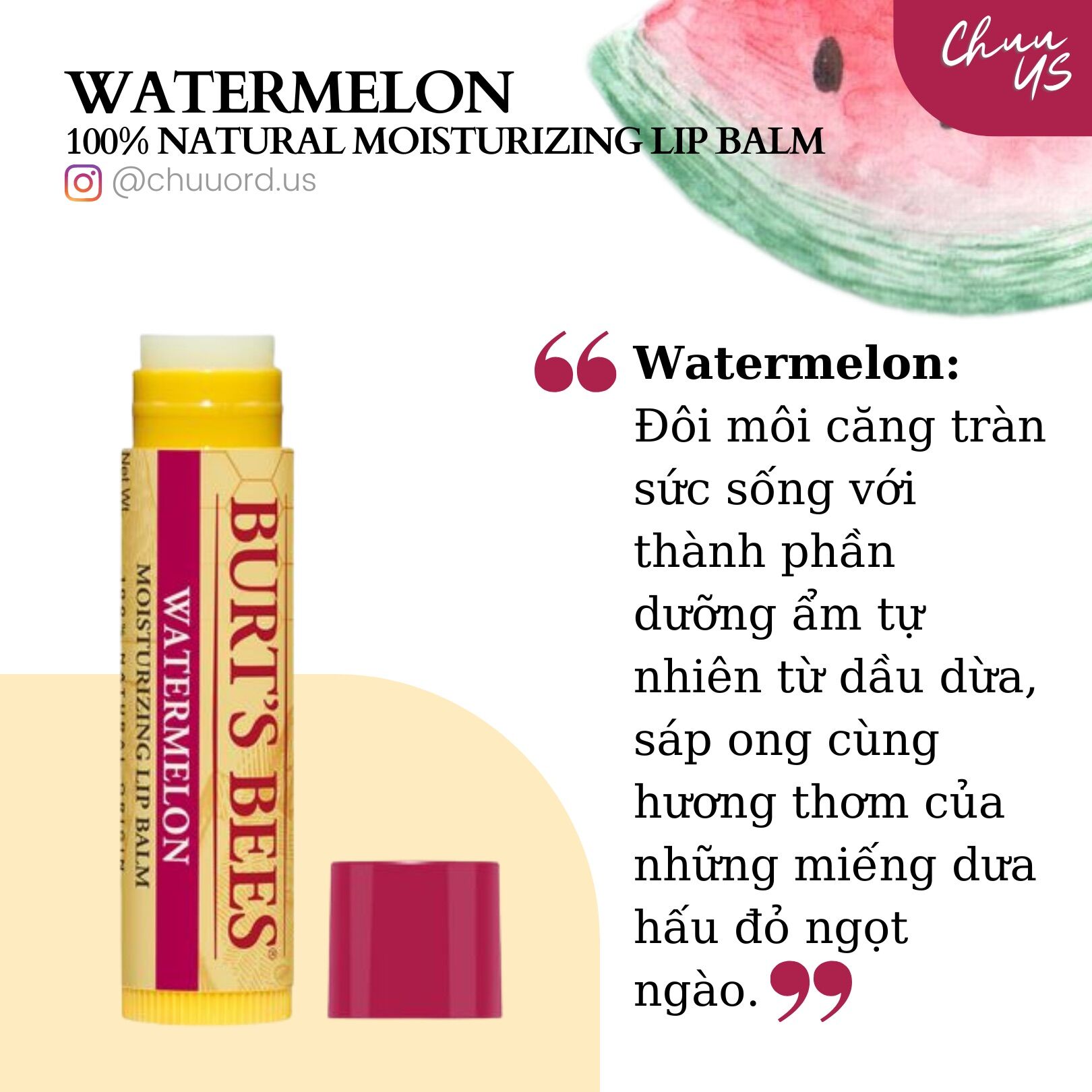 (AuthMỸ) Son dưỡng môi BURT’S BEES 100% NATURAL MOISTURIZING LIP BALM