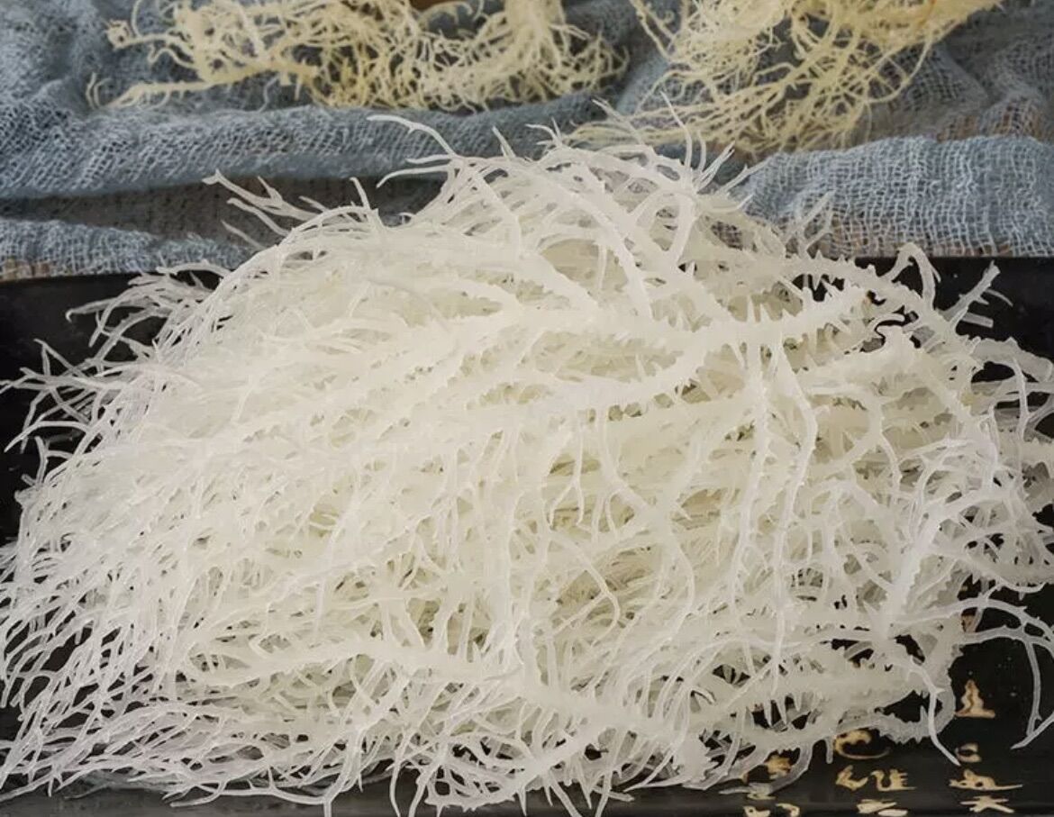 500gr Rong Sụn Khô ( Rong biển khô) trắng đẹp